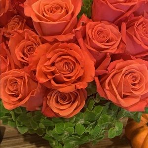 Meet your Posher, Mia